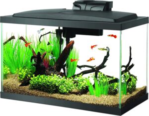 10 gallaon fish tank 